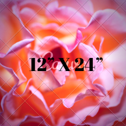 12X24 Designs